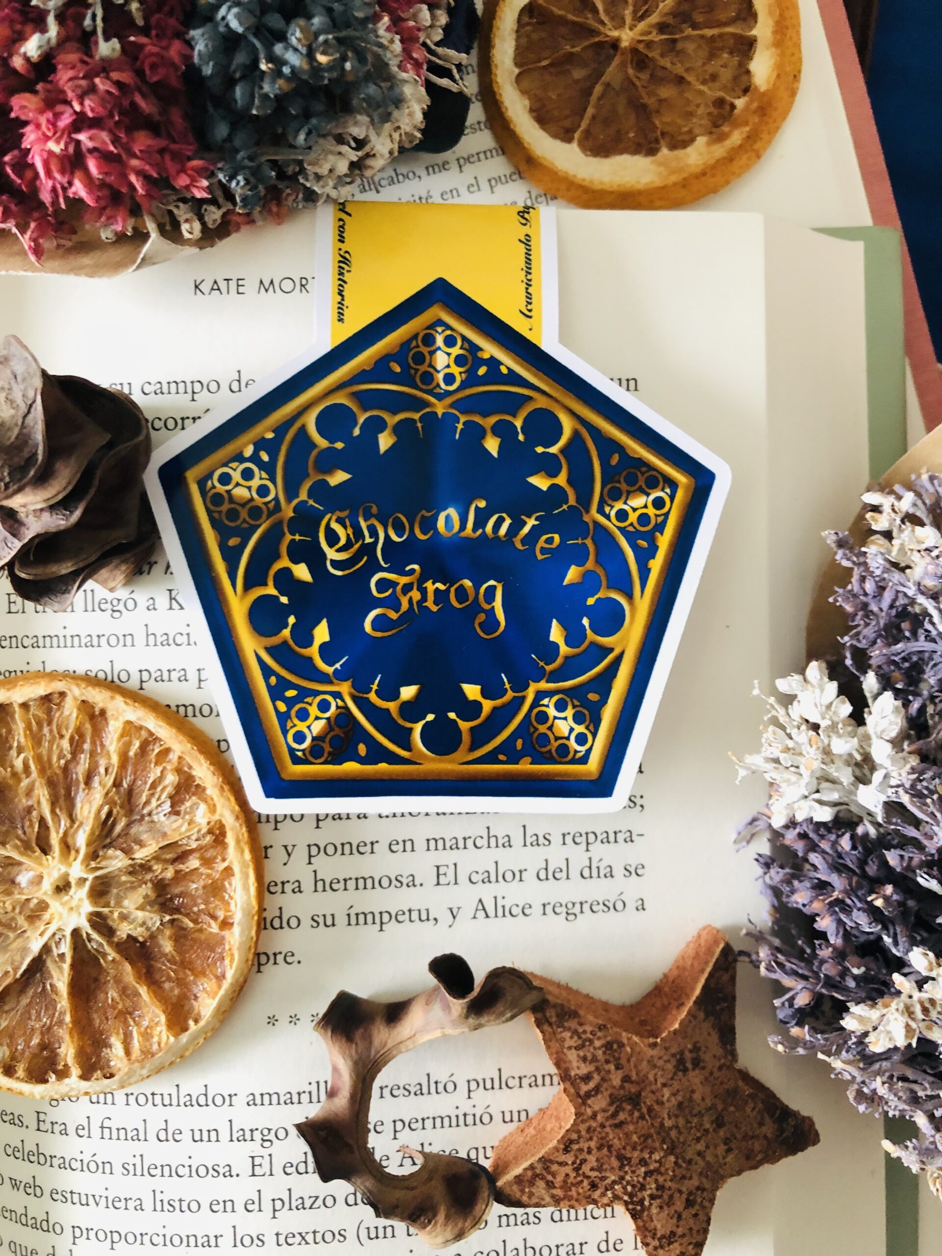 Marcapáginas magnético artesanal hecho a mano del universo Harry Potter. Fondo inspirado en los elementos que aparecen tanto en el libro como en la película.