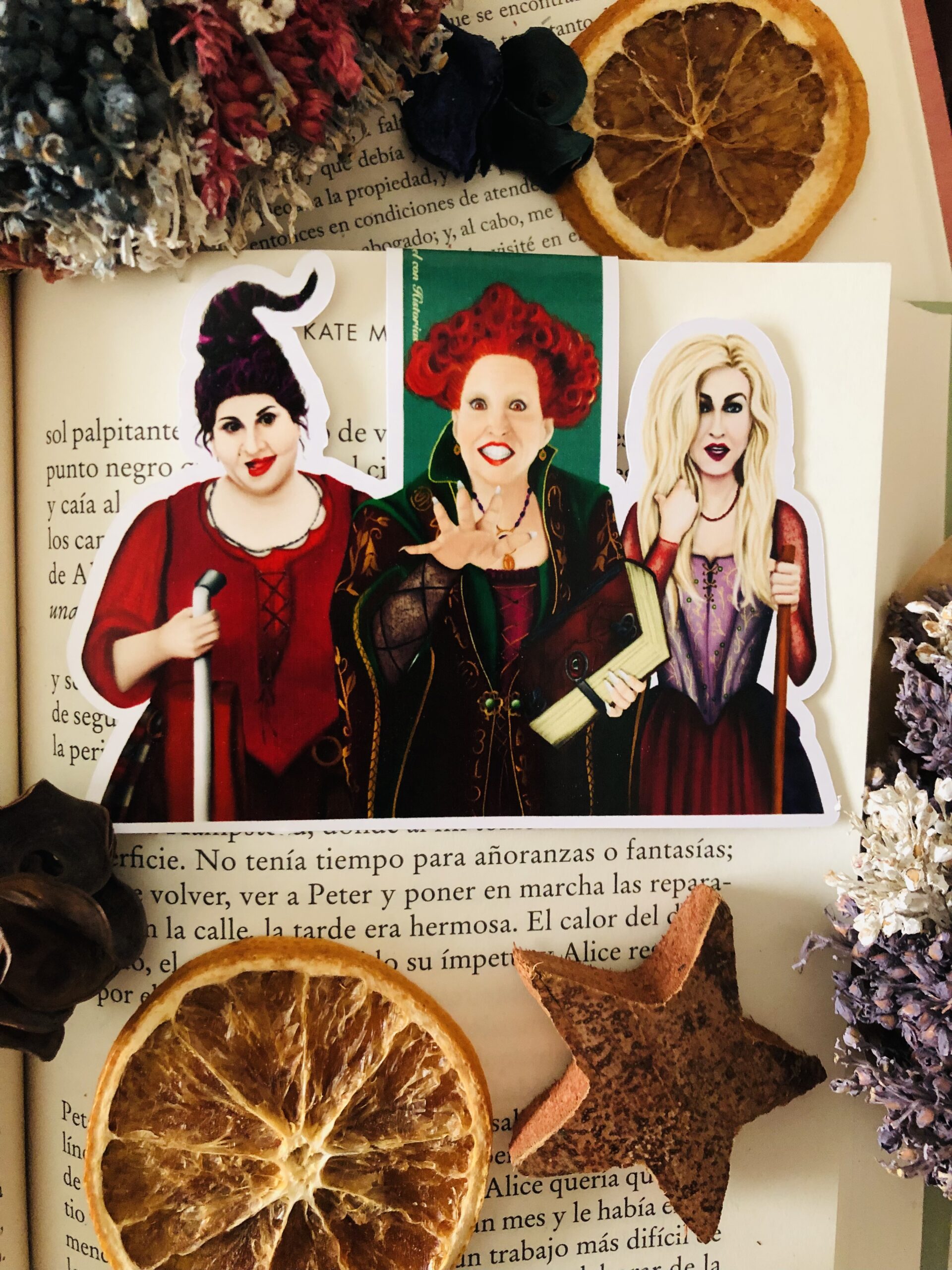 Marcapáginas magnético artesanal hecho a mano de Disney. Fondo inspirado en los elementos que aparecen tanto en los libros como en las películas.